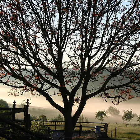 Фермерский дом Isi-hof *