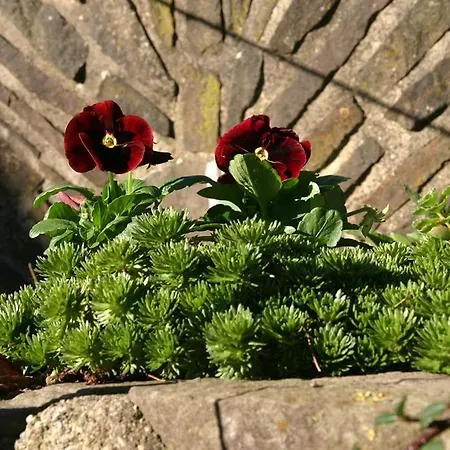 Isi-hof Alloggio per agriturismo