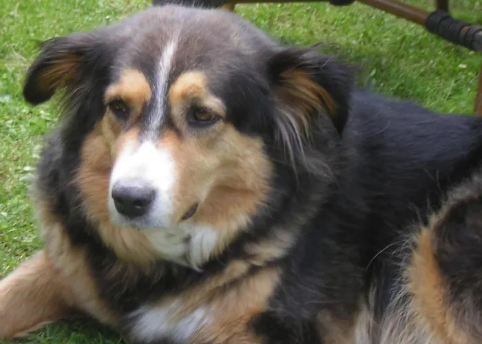 Isi-hof Фермерский дом *