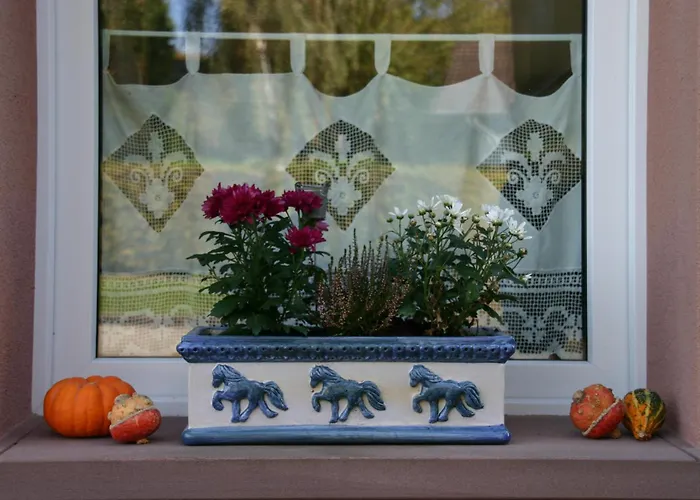 ファームステイ Isi-hof *